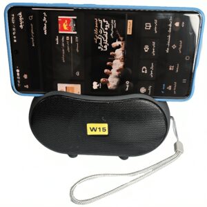 اسپیکر بلوتوثی W15