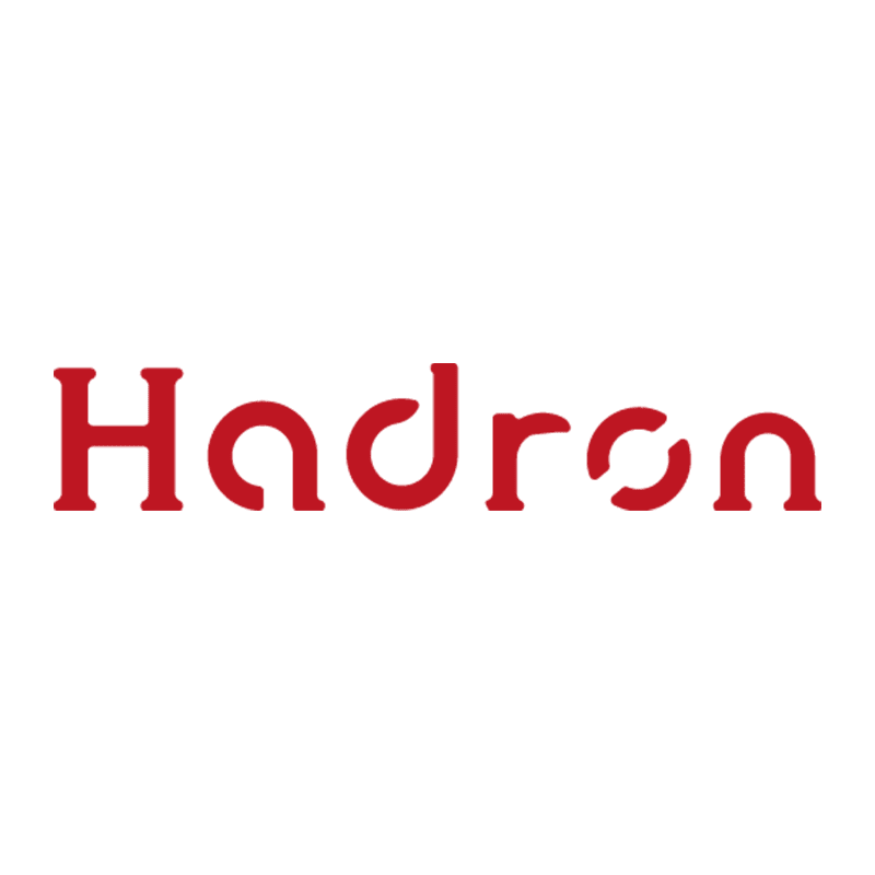Hadron